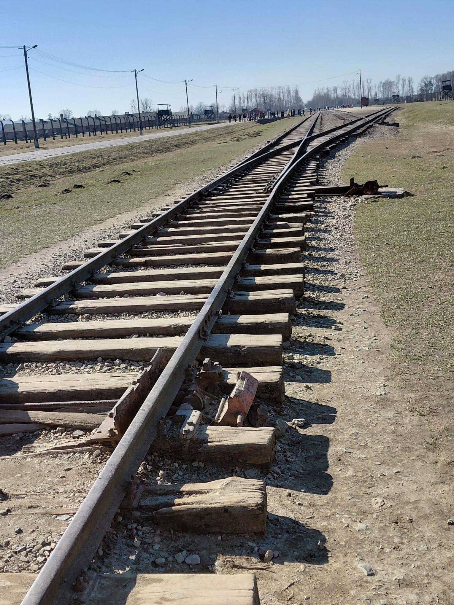 Passeurs de mémoire : regards de nos élèves sur Auschwitz-Birkenau