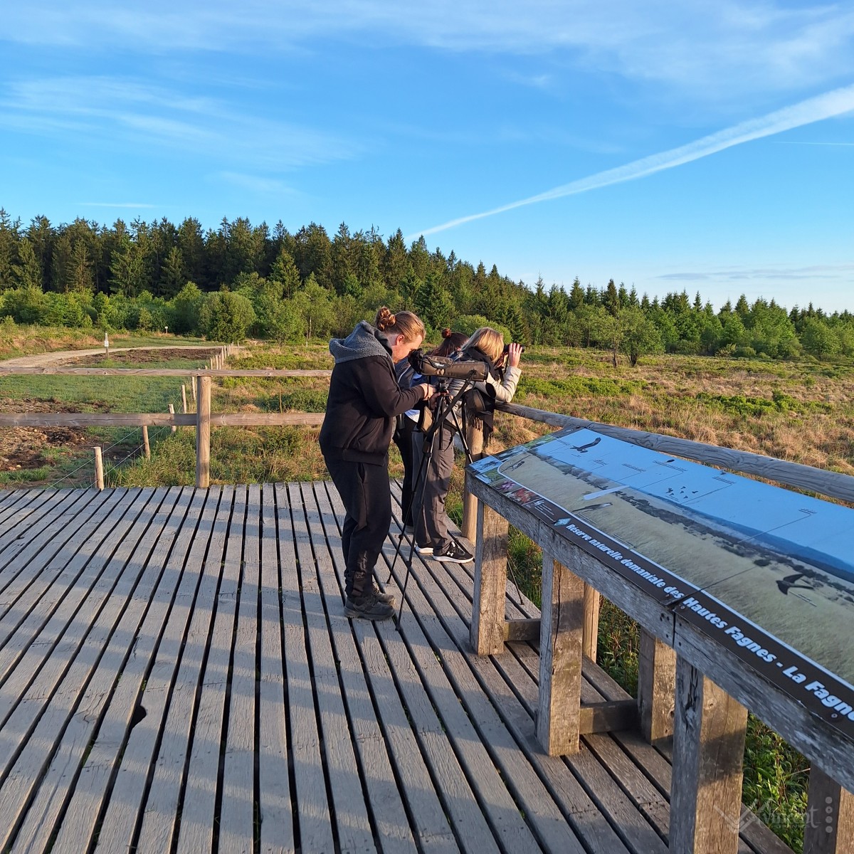 Stage des 6e bio dans les Fagnes (partie 2)