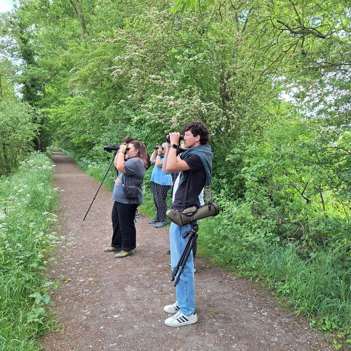Visite des marais d'Harchies par les 6e biotechnique (lundi 12 mai 2025)