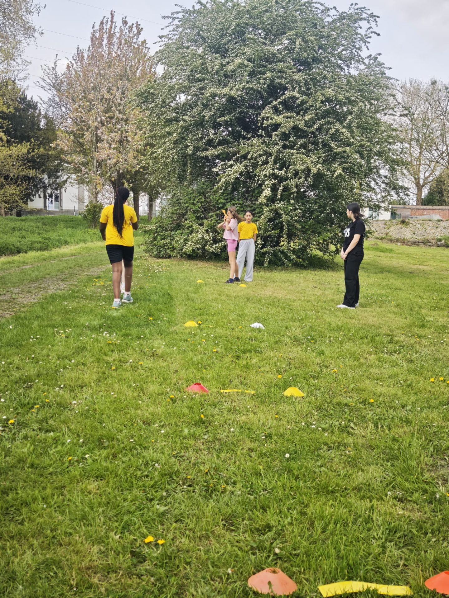 Les 4EQ Animation en mission encadrement au Parc de Louve